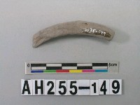 藏品(灰色泥質陶環殘件)的圖片